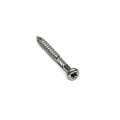 RVS schroeven 5x40 mm (100 st)