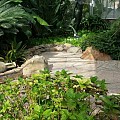 Flagstone Florida Yellow 2-4 cm