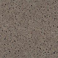 Schellevis tegel 50x50x5 Taupe