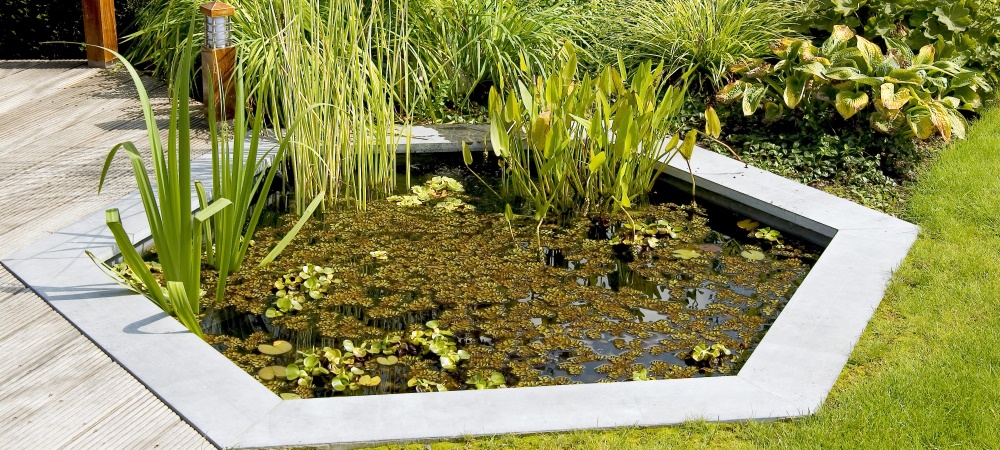 GSB Wijchen