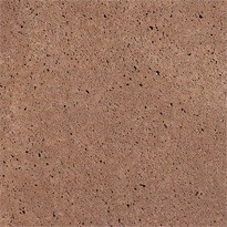 Schellevis tegel 20x20x5 Roodbruin