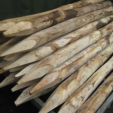 Kastanjehouten Palen Gepunt/Geschild 160 cm