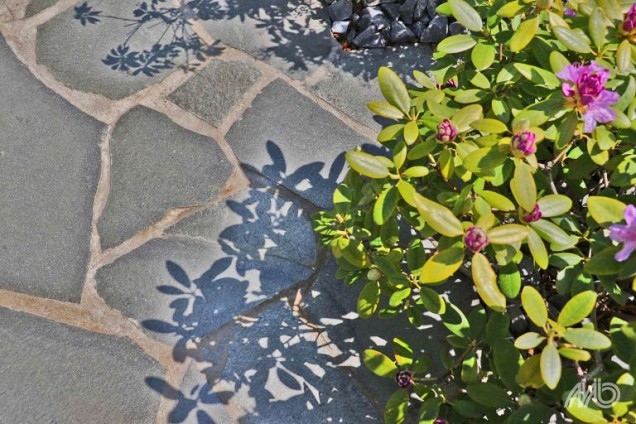 Flagstone Alta kwartciet 2-4 cm