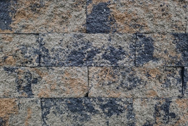 Splitrock Musselkalk 32x13x11 cm