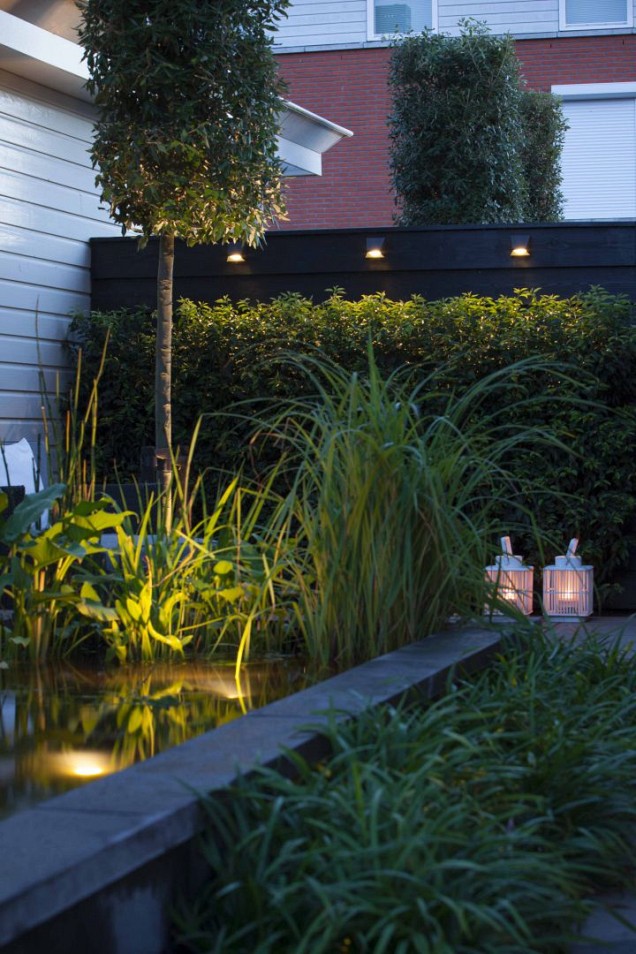 Wedge Dark Grey 12V/1,6VA