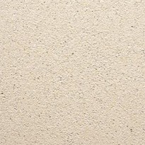 Schellevis tegel 100x100x5 Creme