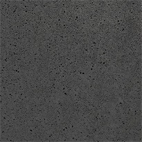 Schellevis tegel 100x100x8 Carbon