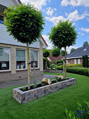 Splitrock Musselkalk 32x13x11 cm