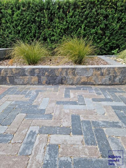 Splitrock Musselkalk 32x13x11 cm